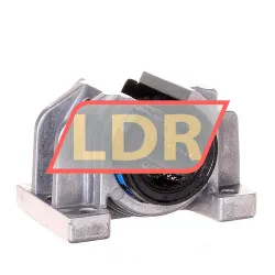 SKF LUCT25-2LS