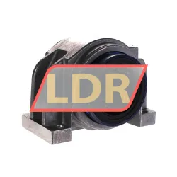 SKF LUCD50-2LS