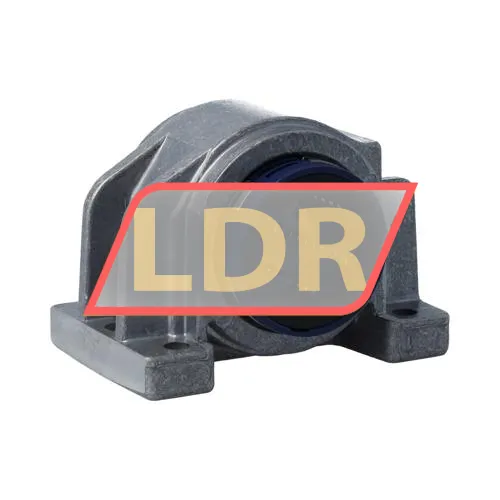 SKF LUCD25 ürün fotoğrafı 2