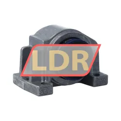 SKF LUCD25