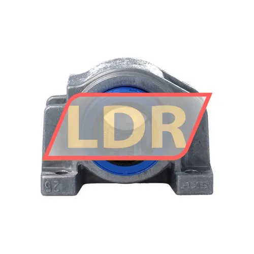SKF LUCD25D-2LS ürün fotoğrafı 4