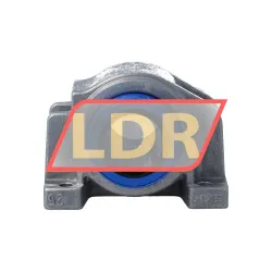 SKF LUCD25D-2LS rulman resim 4