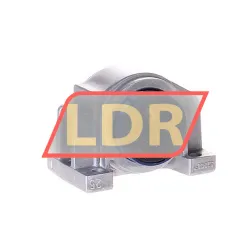 SKF LUCD25-2LS