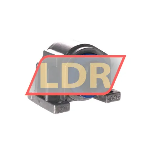 SKF LUCD30D-2LS