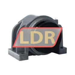 SKF LUCR50-2LS