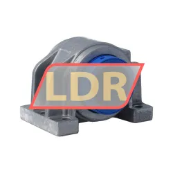 SKF LUCD25D-2LS