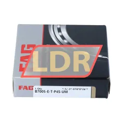 FAG B7005-E-T-P4S-UM rulman resim 3