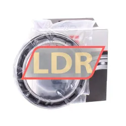 FAG B71913-C-2RSD-T-P4S-DUL