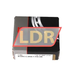 FAG B71905-C-2RSD-T-P4S-UM rulman resim 2