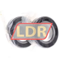 FAG B7006-E-2RSD-T-P4S-DUL