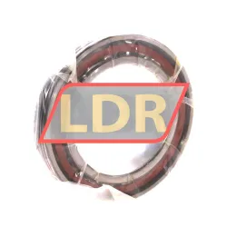 FAG B7016-EDLR-T-P4S-UL rulman resim 2