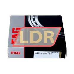 FAG HCB71913-EDLR-T-P4S-UL
