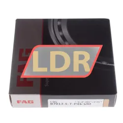 FAG B7013-E-T-P4S-UM rulman resim 5