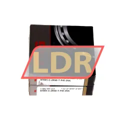 FAG B7005-C-2RSD-T-P4S-DUL