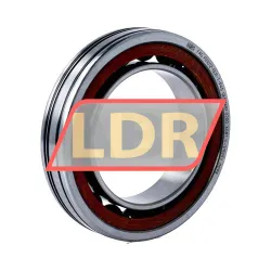 FAG FD1012-DLR-T-P4S