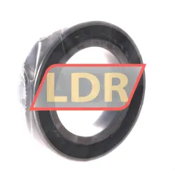 FAG B7010-C-2RSD-T-P4S-DUL