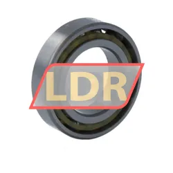 INA 71801 rulman resim 2