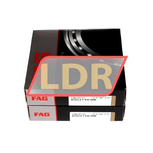 FAG B7213-E-T-P4S-DFM