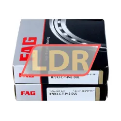 FAG B7013-C-T-P4S-DUL