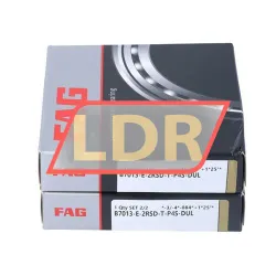 FAG B7013-E-2RSD-T-P4S-DUL