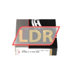FAG B7005-C-T-P4S-UM rulman resim 2