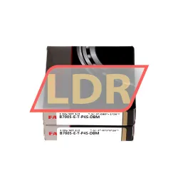 FAG B7005-E-T-P4S-DBM