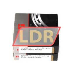 FAG B7005-E-2RSD-T-P4S-DUL rulman resim 2