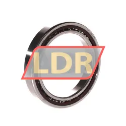 SKF 71913CDGA/P4A