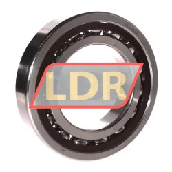SKF 7219ACDGB/P4A