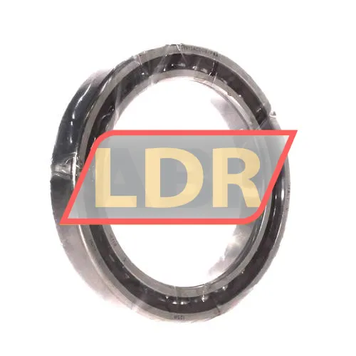 SKF 71913ACDGB/P4A