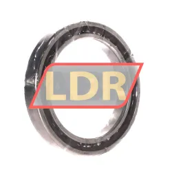 SKF 71913ACDGB/P4A