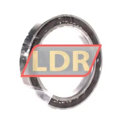 SKF 71913ACDGB/P4A rulman resim 2