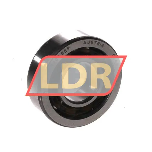 SKF 7203BEP