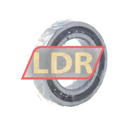SKF 7009ACEGA/P4A rulman resim 2