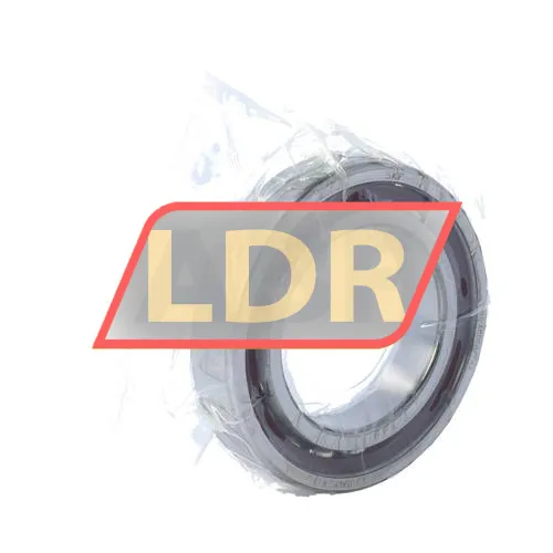 SKF 7011ACDGB/P4A