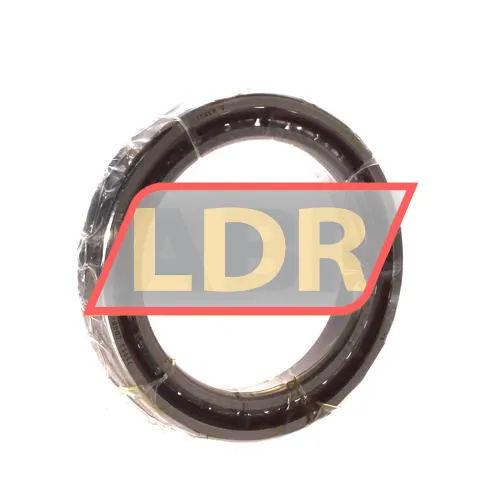 SKF 71913CDGB/P4A ürün fotoğrafı 2