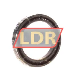 SKF 71913CDGB/P4A rulman resim 2