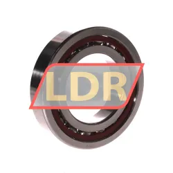 SKF 7214ACDGB/P4A