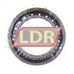 SKF 7012CDGB/P4A