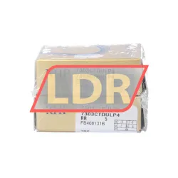 RHP 7303CTDULP4