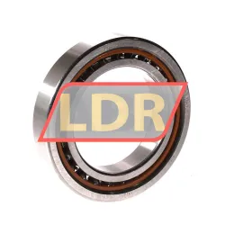 SKF 7012CEGA/P4A