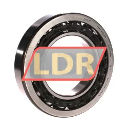 SKF 7219BECBP
