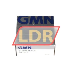 GMN Paul Müller Industrie SM6007C TA HG RI DUL GMN Paul Müller Industrie rulman resim 3