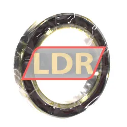 SLF Fraureuth B71917E-T-P4S-UL rulman resim 2