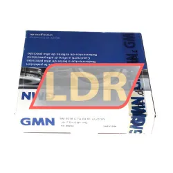 GMN Paul Müller Industrie SM6018C TA P4 RI UL GMN Paul Müller Industrie rulman resim 3