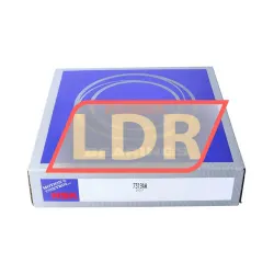 NSK 7319AW rulman resim 3