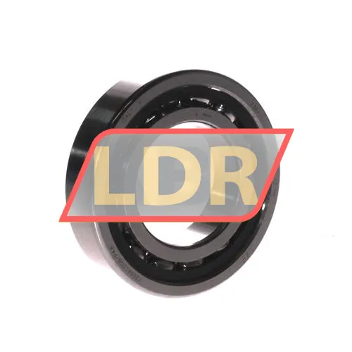 SKF 7209ACDGB/P4A