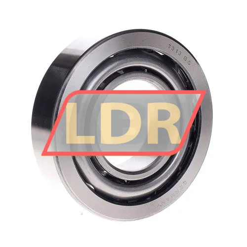 SKF 7313BG