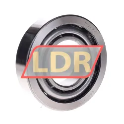 SKF 7313BG