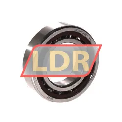 SKF 7006ACDGB/P4A
